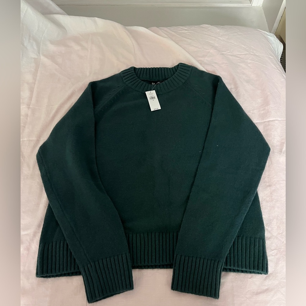 Brand new Gap sweater.